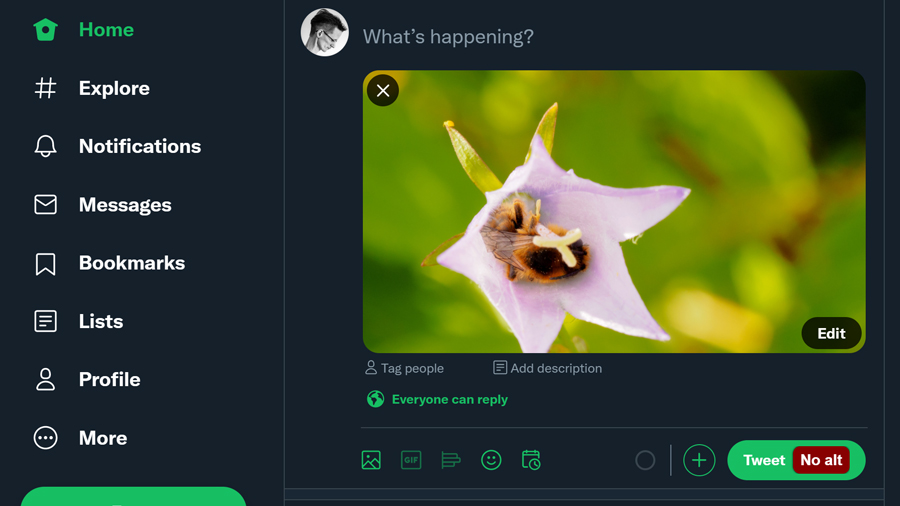 The no alt label on the tweet button while an image without alt text is visible in the composer